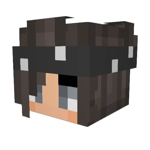 toast____ Minecraft avatar head, 3D render