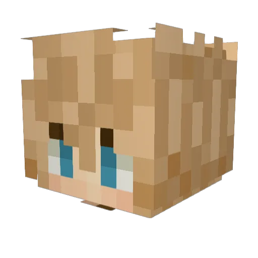 toastaupoussin Minecraft avatar head, 3D render