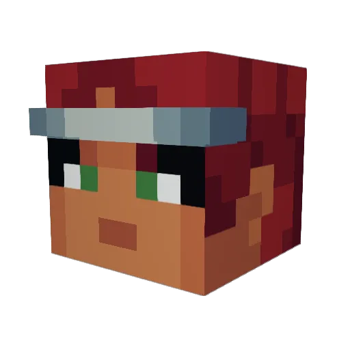 toastboy_3511 Minecraft avatar head, 3D render