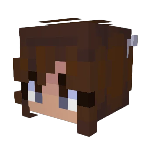 toasted_shibe Minecraft avatar head, 3D render