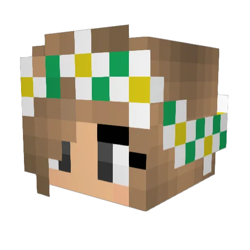 toasted_waffles1 Minecraft avatar head, 3D render