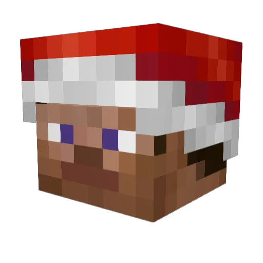 toastedcotton Minecraft avatar head, 3D render