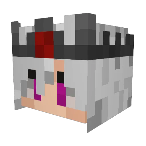 toastedmonkeyft Minecraft avatar head, 3D render