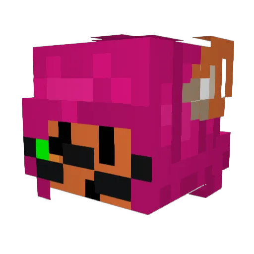 toastedtoasttt Minecraft avatar head, 3D render
