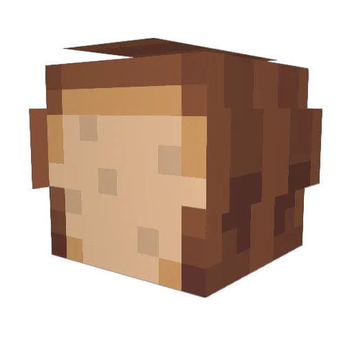 toaster199 Minecraft avatar head, 3D render