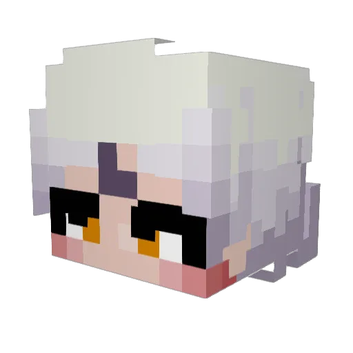 toasterbathbomb5 Minecraft avatar head, 3D render