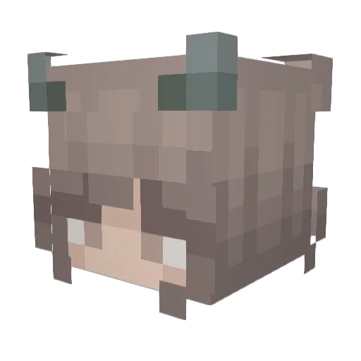 toasterbathx Minecraft avatar head, 3D render
