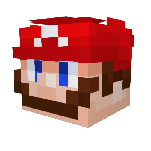 toasterrstrudel Minecraft avatar head, 3D render