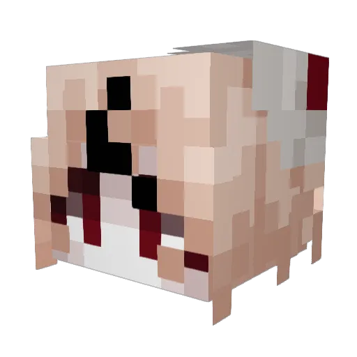 toasters7 Minecraft avatar head, 3D render