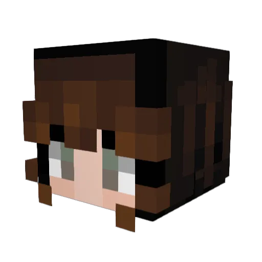 toastieo Minecraft avatar head, 3D render