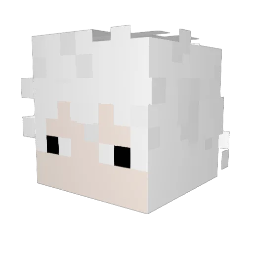 toastoot Minecraft avatar head, 3D render