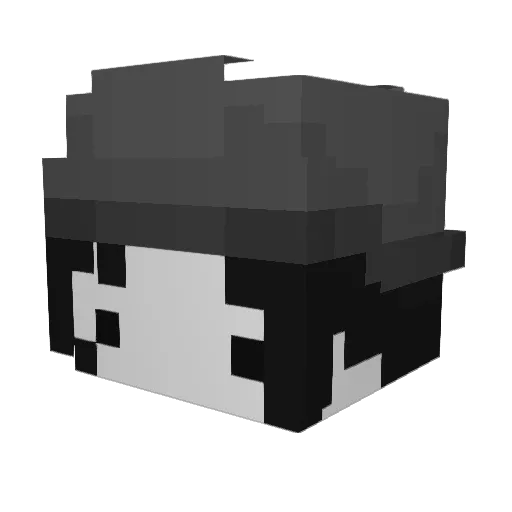 toastrack Minecraft avatar head, 3D render