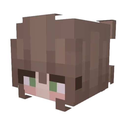 toastybp Minecraft avatar head, 3D render