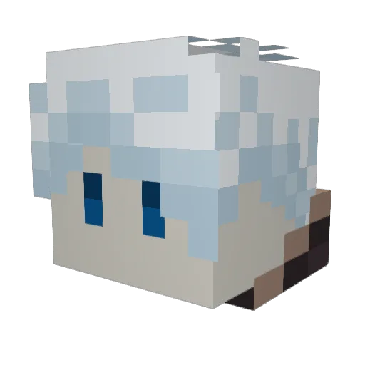 toastydisaster Minecraft avatar head, 3D render
