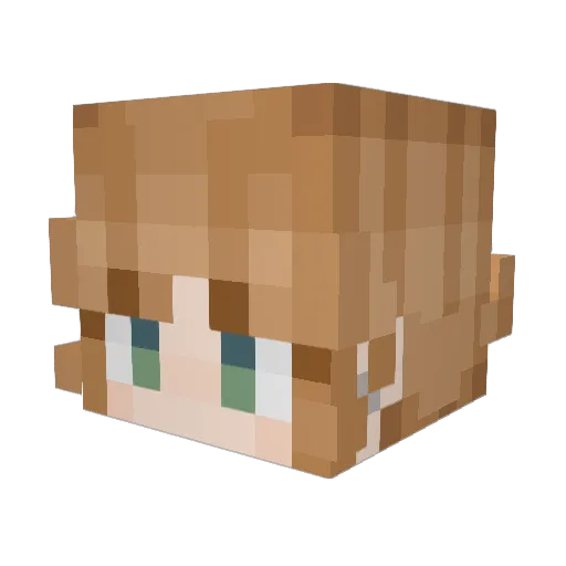toastyoranges Minecraft avatar head, 3D render