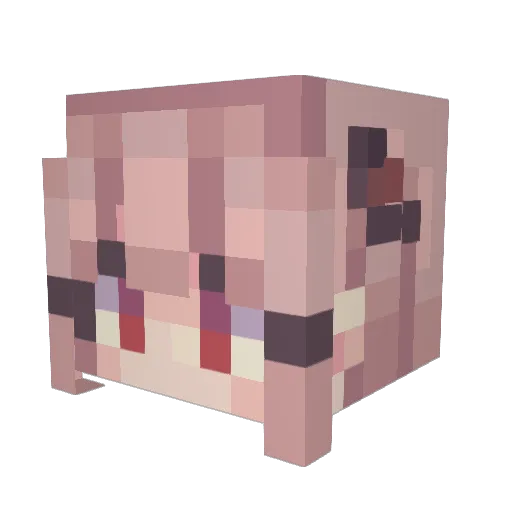 toastytulip Minecraft avatar head, 3D render