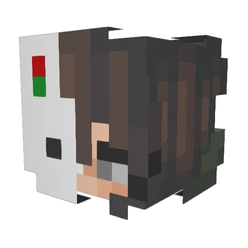 toastyycado Minecraft avatar head, 3D render