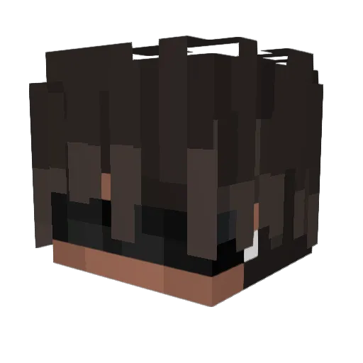 toastyyyau Minecraft avatar head, 3D render