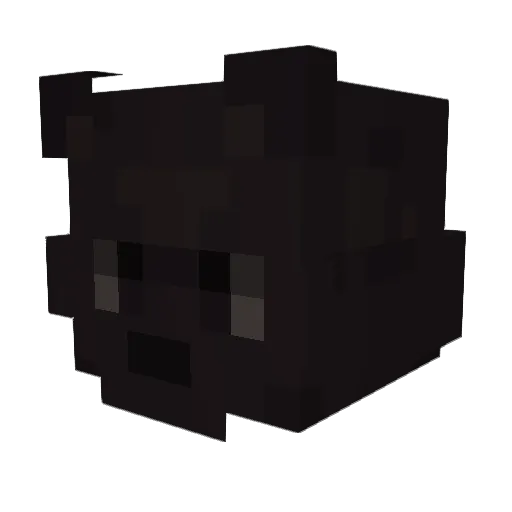 toastyyyxd Minecraft avatar head, 3D render