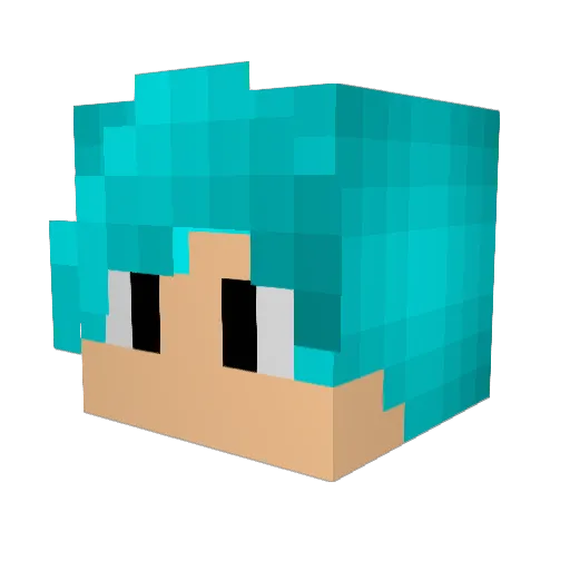 tob_ster123 Minecraft avatar head, 3D render