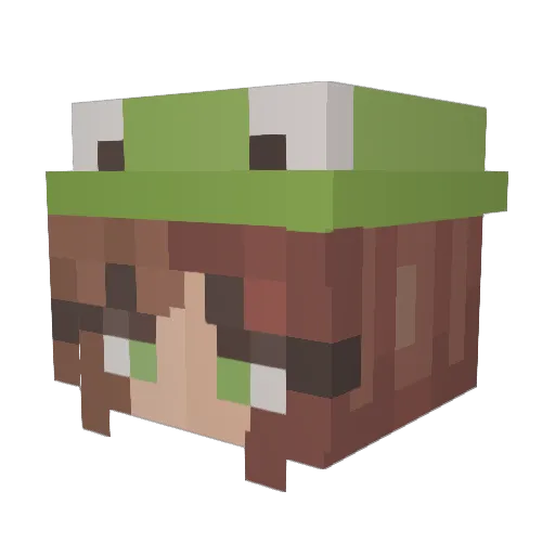 tobeeno2 Minecraft avatar head, 3D render