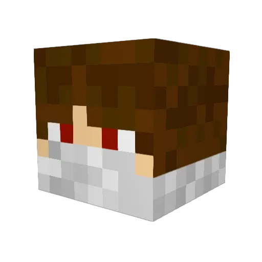 tobi11500 Minecraft avatar head, 3D render