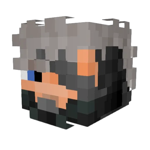 tobias20055 Minecraft avatar head, 3D render