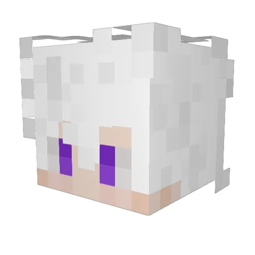 tobias219 Minecraft avatar head, 3D render