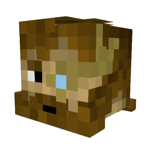 tobiasvdp Minecraft avatar head, 3D render