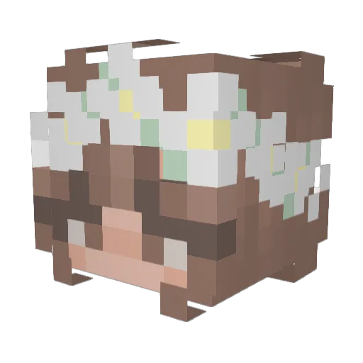 tobiex Minecraft avatar head, 3D render