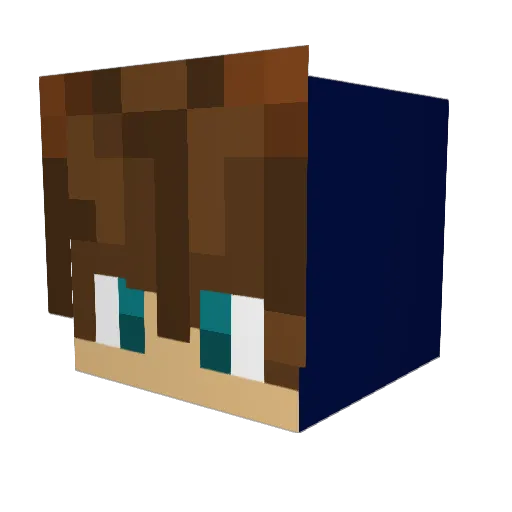 tobik457 Minecraft avatar head, 3D render