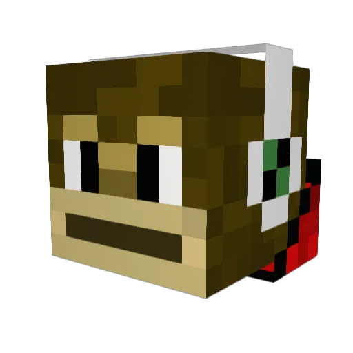 tobin09cool Minecraft avatar head, 3D render