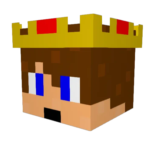 tobinator22 Minecraft avatar head, 3D render
