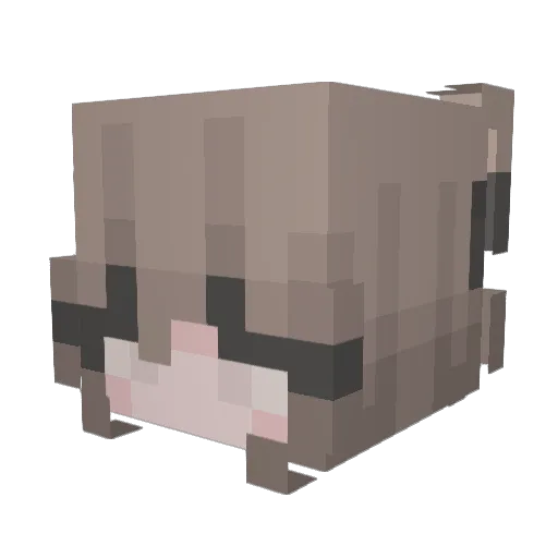 tobleronej Minecraft avatar head, 3D render