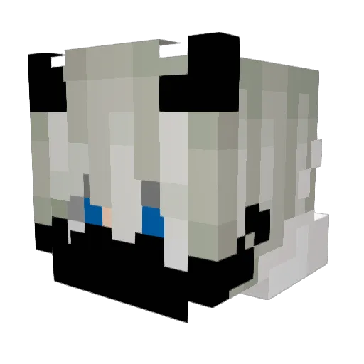 tobo23 Minecraft avatar head, 3D render