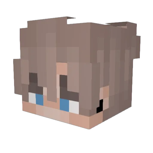toby9298 Minecraft avatar head, 3D render