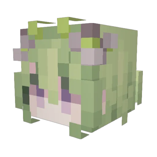 tobycampesinos Minecraft avatar head, 3D render