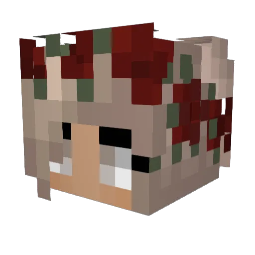 tobyshutup Minecraft avatar head, 3D render