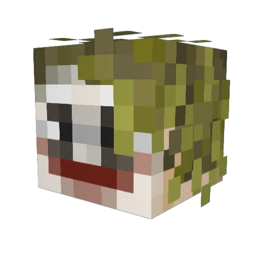 tocb1999 Minecraft avatar head, 3D render