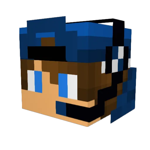 tocobroishere Minecraft avatar head, 3D render