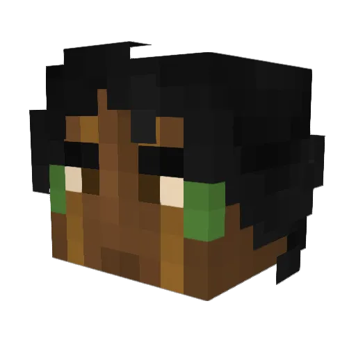 tocomfome00 Minecraft avatar head, 3D render