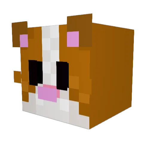 toddtoddtoddtodd Minecraft avatar head, 3D render
