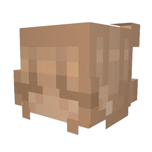toddyhotdogs Minecraft avatar head, 3D render