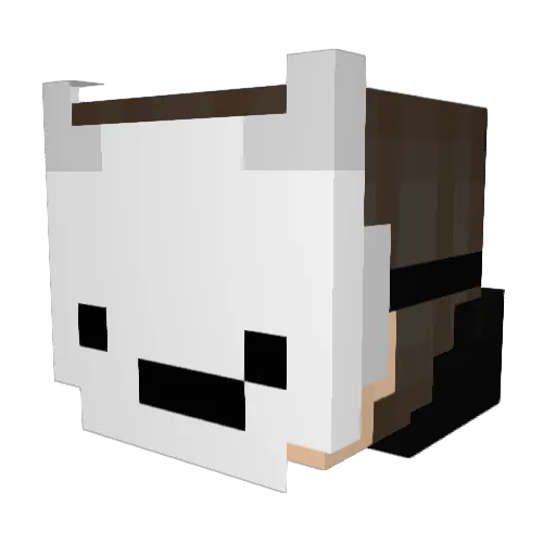 toddynho123244 Minecraft avatar head, 3D render