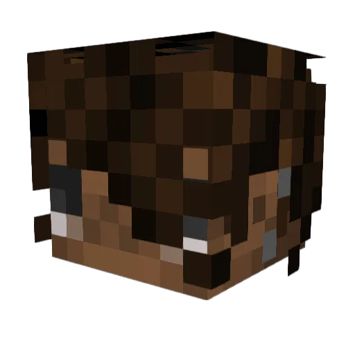 toddytoon Minecraft avatar head, 3D render