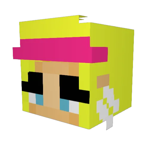 todls1_5 Minecraft avatar head, 3D render