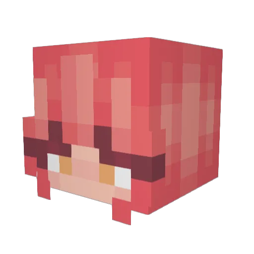 todoVer0 Minecraft avatar head, 3D render