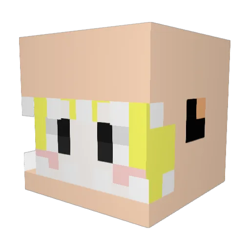 todwnl123 Minecraft avatar head, 3D render