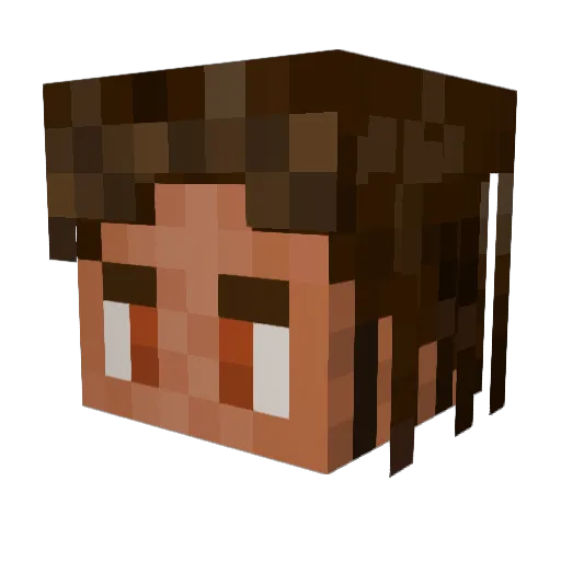 toe_official Minecraft avatar head, 3D render