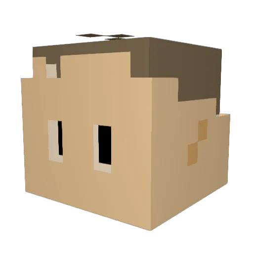 toe_rogan Minecraft avatar head, 3D render